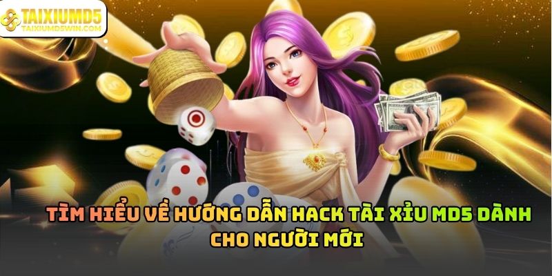 Sự thật về hướng dẫn hack Tài Xỉu MD5: Có thật hay không?