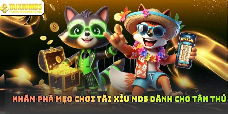 Mẹo Chơi Tài Xỉu MD5 Và Định Hướng Nội Dung Chuyên Mục