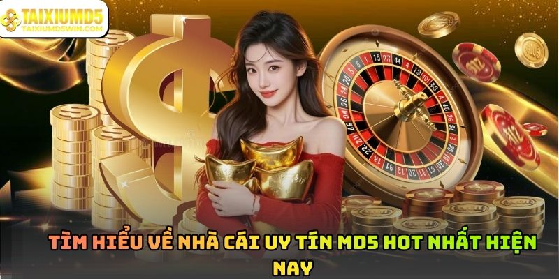 Nhà Cái Uy Tín Và Tiêu Chí Đánh Giá Hàng Đầu 2026